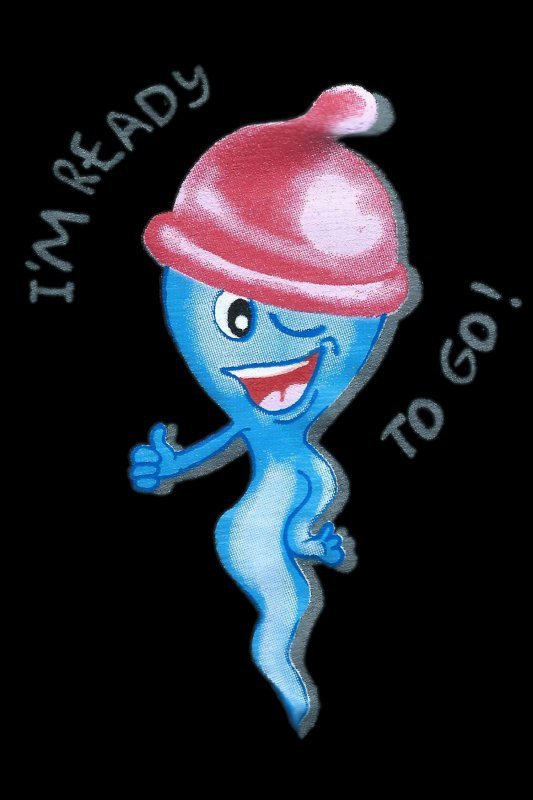 Cornette Bokserki Tattoo I`m ready