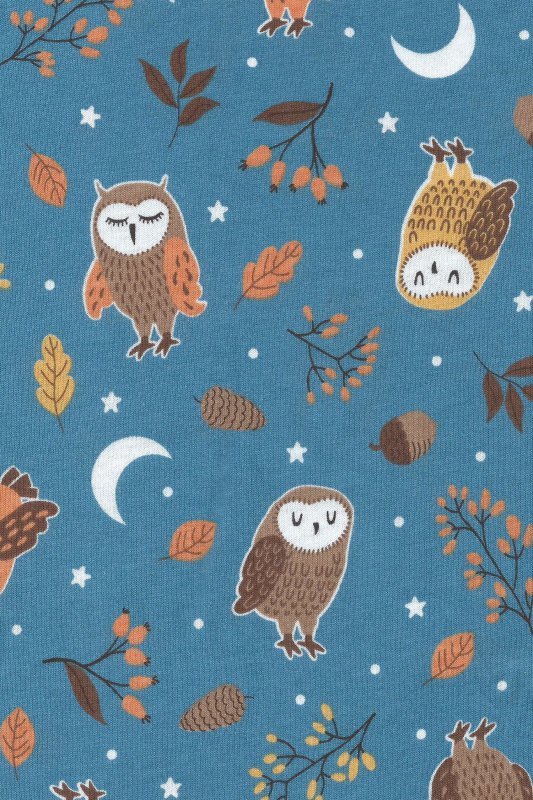 Cornette Piżama kids Owls2 977/176