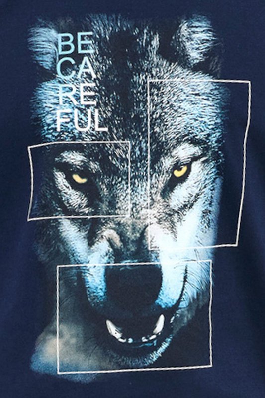 Cornette Piżama Wolf 998/50