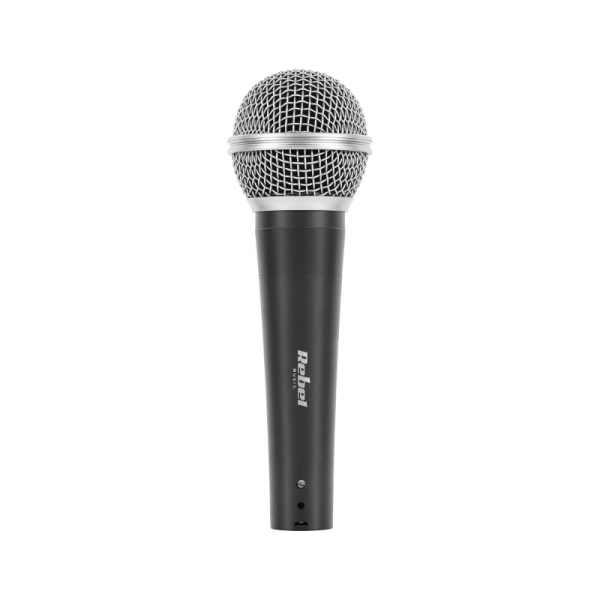 Mikrofon DM-80