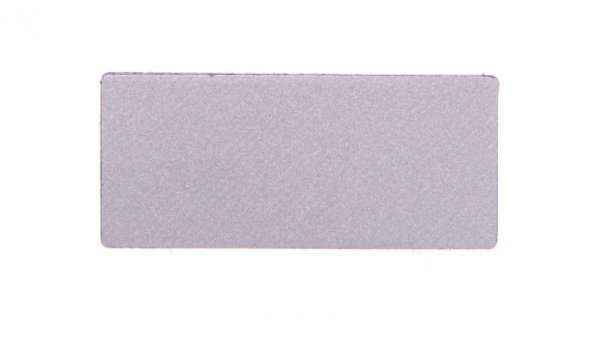 Tabliczka opisowa srebrna do oprawy LPX AU100 LPXAU109
