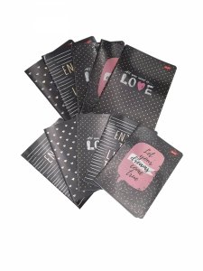 10 x Zeszyt A5 60 kartek krata GL 6669 