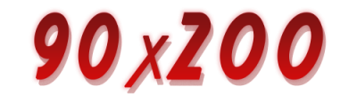 90X200