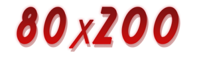 80x200