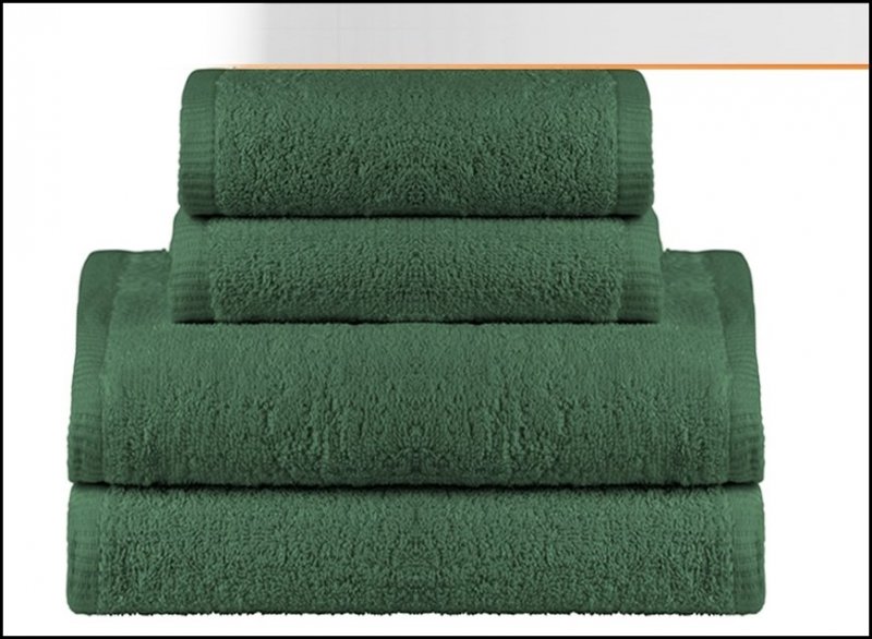 RĘCZNIK KĄPIELOWY FROTTE 50X100 cm 500G MODENA