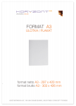 plakat A3,  druk pełnokolorowy jednostronny 4+0, na papierze kredowym 170 g - 100 sztuk  