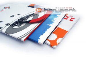 Teczka Standard+ DG10, 539 x 389 mm, grzbiet 10 mm bez folii, - 100 sztuk