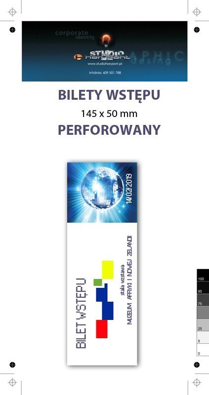 bilety wstępu 145 x 50 mm, kreda błysk 130 g, druk pełnokolorowy jednostronny, - 100 sztuk
