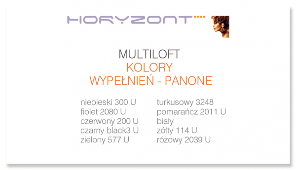 wizytówki bez folii, druk dwustronny pełnokolorowy 4+4, papier kredowy 450 g mat, 250 sztuk 