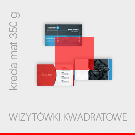 wizytówki bez folii, druk dwustronny pełnokolorowy 4+4, papier kredowy 450 g mat, 100 sztuk  