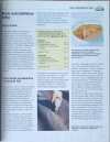 Kohle Staw i strumyk w ogrodzie - fragment