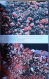 Skarby Akademii Górniczo-Hutniczej. Minerały, skamieniałości, skały