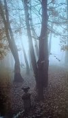 Tadeusz Budziński • Sandomierz. Fotografie