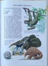 Gerhard Hartmann Dzikie zwierzęta.  Co i Jak (tom 35) - fragment