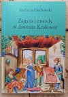 Ambroży Grabowski  Zajęcia i zawody w dawnym Krakowie - okladka