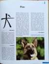Magdalena Czaplicka  Horoskop chiński