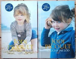 Jodi Picoult • Krucha jak lód