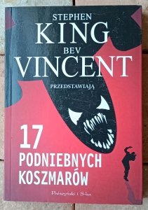 Stephen King • 17 podniebnych koszmarów