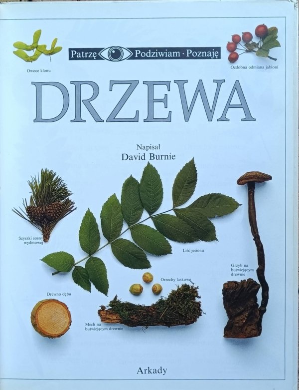 David Burnie - Drzewa | Patrzę Podziwiam Poznaję