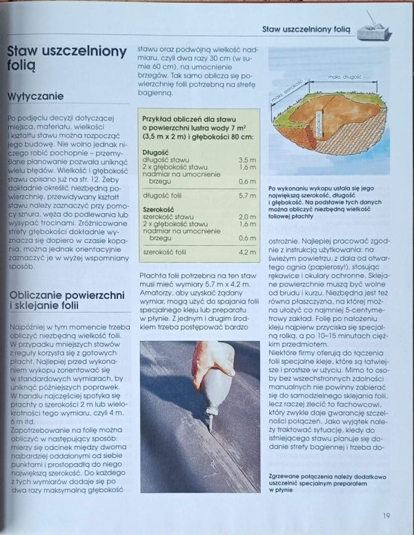 Kohle Staw i strumyk w ogrodzie - fragment