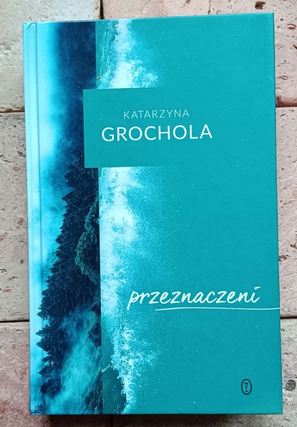 Katarzyna Grochola x9 - Przeznaczeni Zielone drzwi i inne | komplet