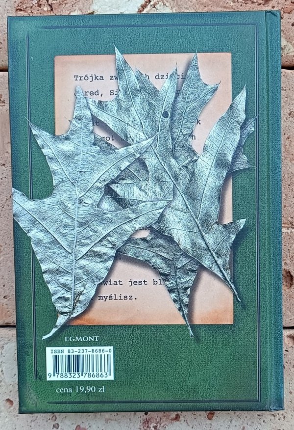 Holly Black Spiderwick. Żelazne Drzewo - okładka