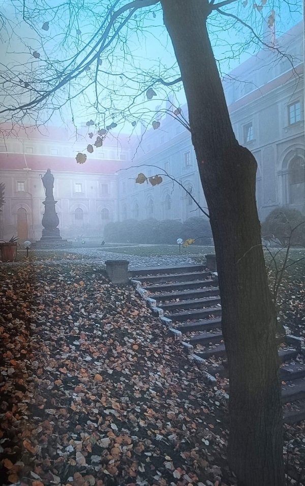 Tadeusz Budziński • Sandomierz. Fotografie
