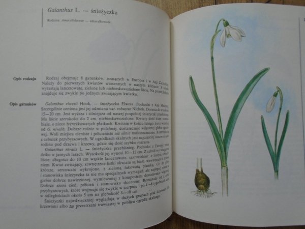 J. Krejca, A. Jakabova • Rośliny skalne