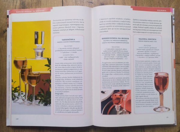Ewa Aszkiewicz Babcine sposoby na wszystko. Dom - kuchnia - uroda