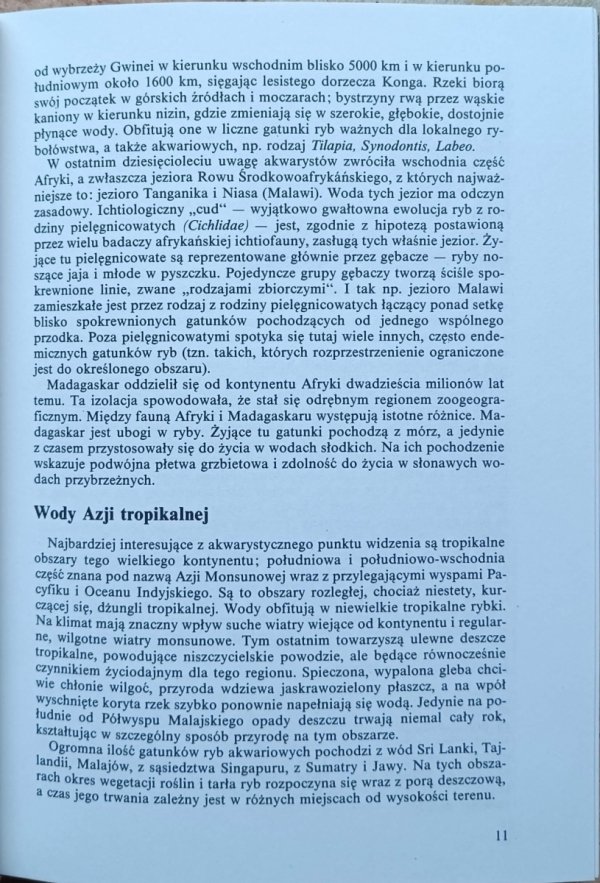  Ivan Petrovicky Tropikalne ryby akwariowe - fragment