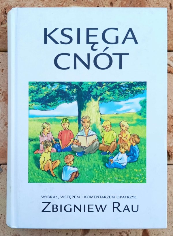 Zbigniew Rau Księga cnót - okładka