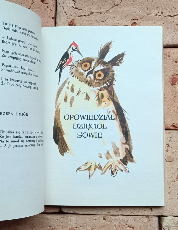 Jan Brzechwa - Brzechwa dzieciom | Jan Marcin Szancer - grafika