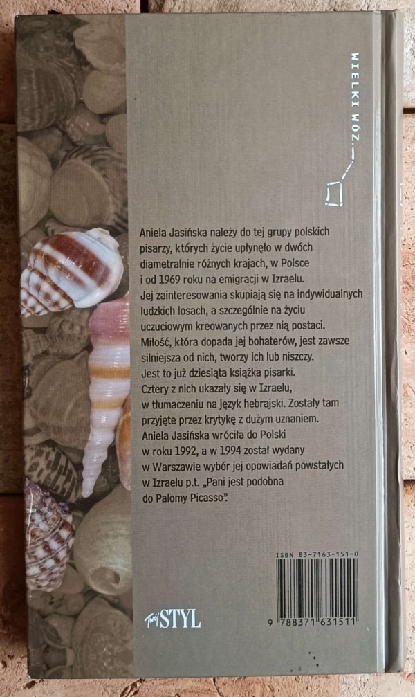 Aniela Jasińska Lotne piaski - okładka