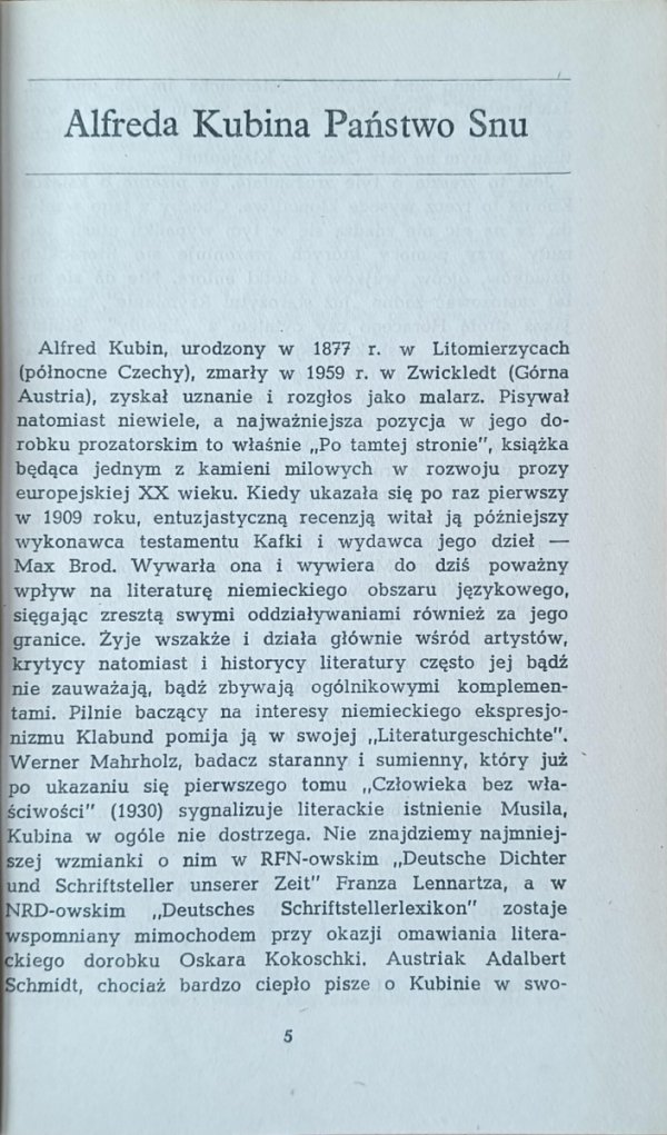 Alfred Kubin  Po tamtej stronie 