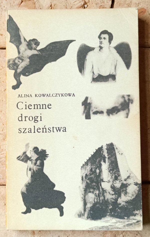 Alina Kowalczykowa  Ciemne drogi szaleństwa  - okładka