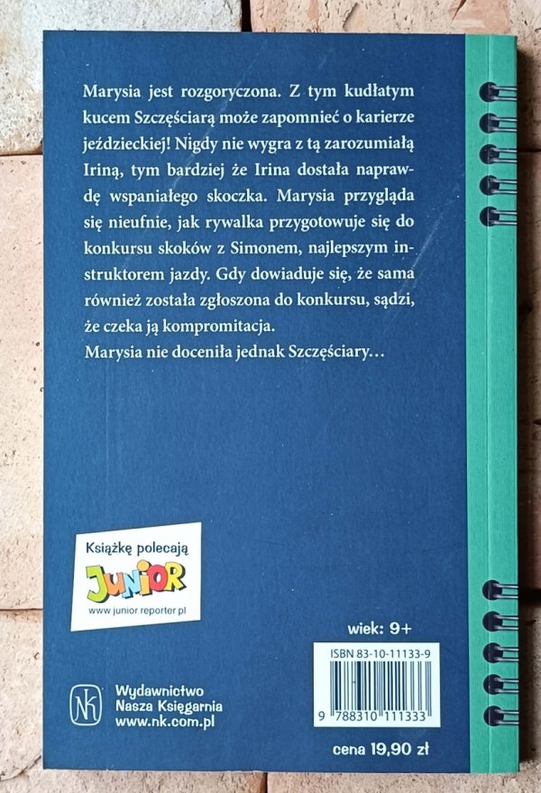 Andrea Wandel • Przyjaciel Marysi - okładka