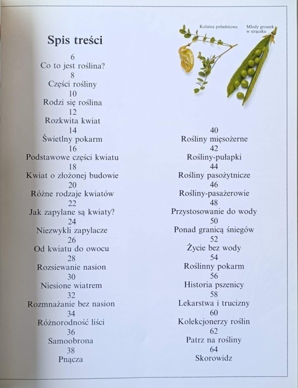 David Burnie • Rośliny [Patrzę Podziwiam Poznaję]