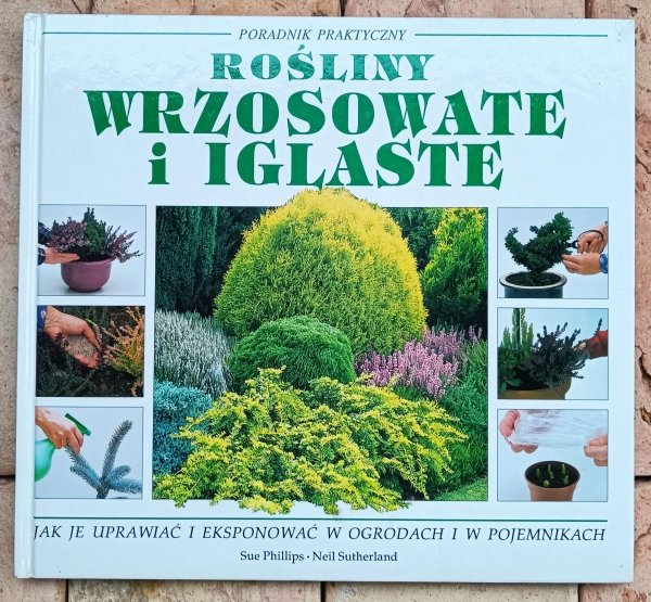 Sue Phillips • Rośliny wrzosowate i iglaste 