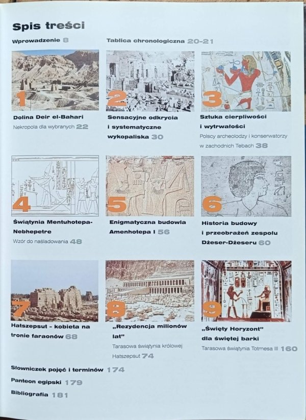 Franciszek Pawlicki - Skarby architektury starożytnego Egiptu