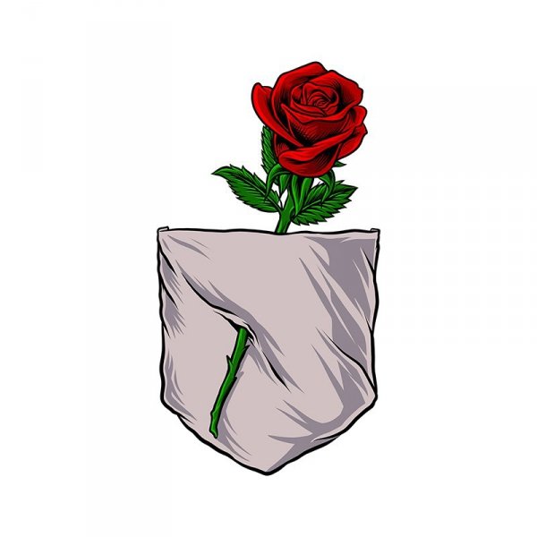 Naprasowanka - kieszeń 6 - róża
