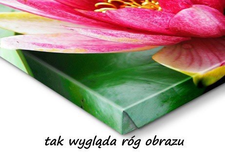 Fotoobraz 80x90 cm / 90x80 cm - twoje zdjęcie na płótnie- darmowa dostawa