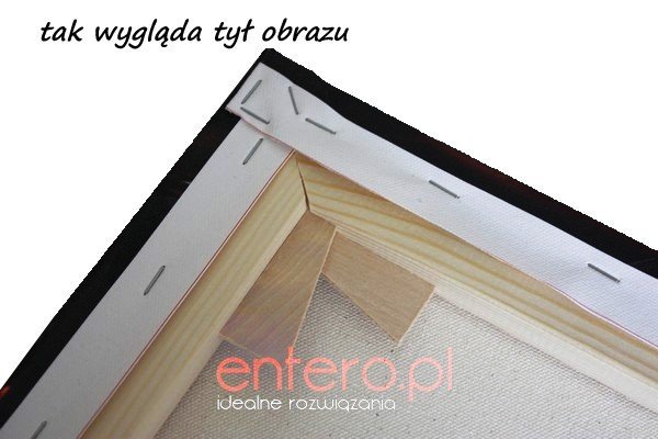 Fotoobraz 100x100 cm - zdjęcie na płótnie- darmowa dostawa