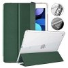 Mercury Clear Back Cover iPad 10.2(2020) zielony/green