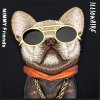 Nimmy etui iPhone 16 Pro Max 6.9        czarny/black Glasses Cool Dog