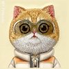 Nimmy etui iPhone 16 Pro Max 6.9 khaki  Cool&Cute 2.0 Cat