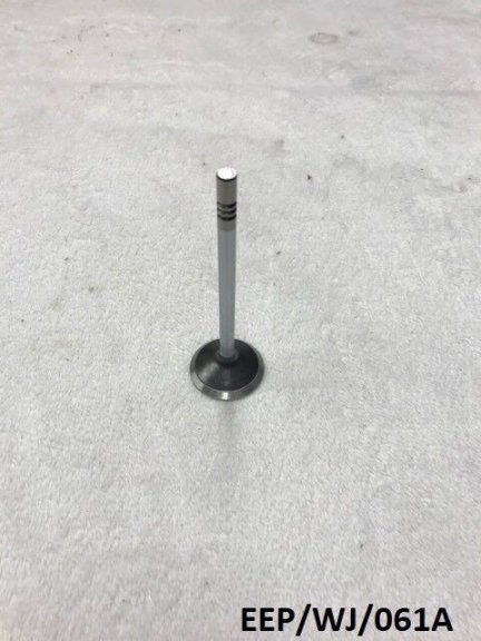 Intake Valve for Jeep Grand Cherokee WJ 4.7L 1999-2004  EEP/WJ/061A