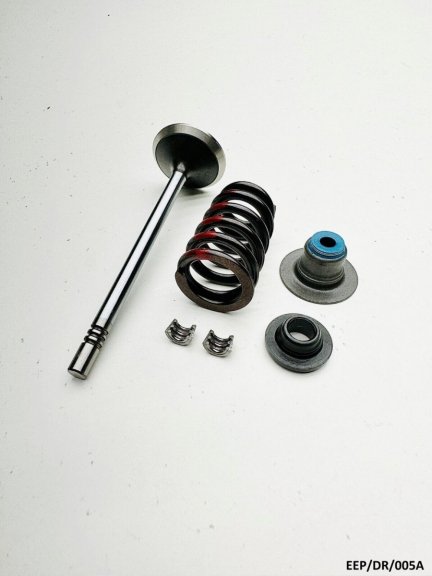 Exhaust Valve Kit for Dodge RAM 1500 DR 4.7L 2002-2007 EEP/DR/005A