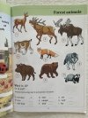 Angielski dla dzieci. W świecie natury. Kreatywne zadania tematyczne 1