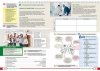 Polski jest COOL A2. Część I. Książka studenta z ćwiczeniami i nagraniami online. Wydanie 2024