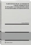 Naruszenie praw autorskich i praw pokrewnych w związku z funkcjonowaniem wyszukiwarek internetowych